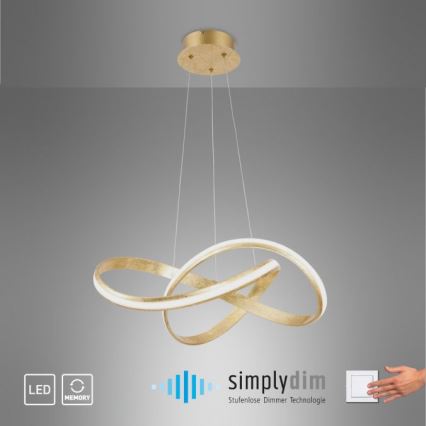 Paul Neuhaus 8291-12 - LED Aptumšojama lustra ar auklu MELINDA LED/30W/230V