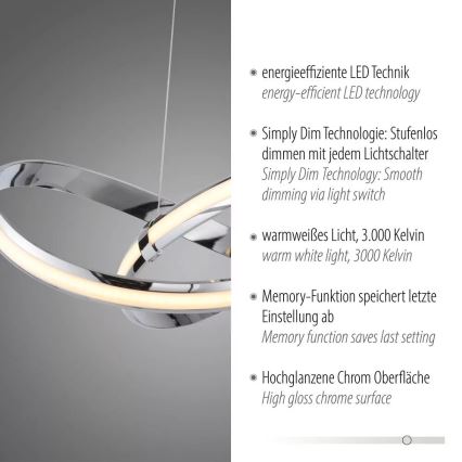 Paul Neuhaus 8291-17 - LED Aptumšojama lustra ar auklu MELINDA LED/30W/230V