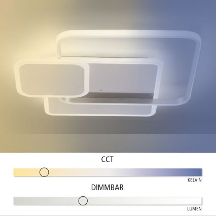 Paul Neuhaus 8319-55 - LED Aptumšojams griestu gaismeklis EMILIO LED/53W/230V + tālvadības pults