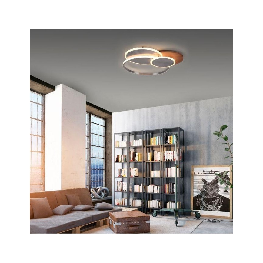 Paul Neuhaus 8328-79 - LED Aptumšojama griestu lampa PALMA LED/50W/230V 2700-5000K priede + tālvadības pults