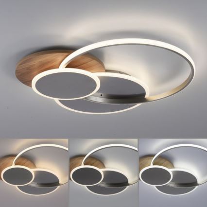 Paul Neuhaus 8328-79 - LED Aptumšojama griestu lampa PALMA LED/50W/230V 2700-5000K priede + tālvadības pults