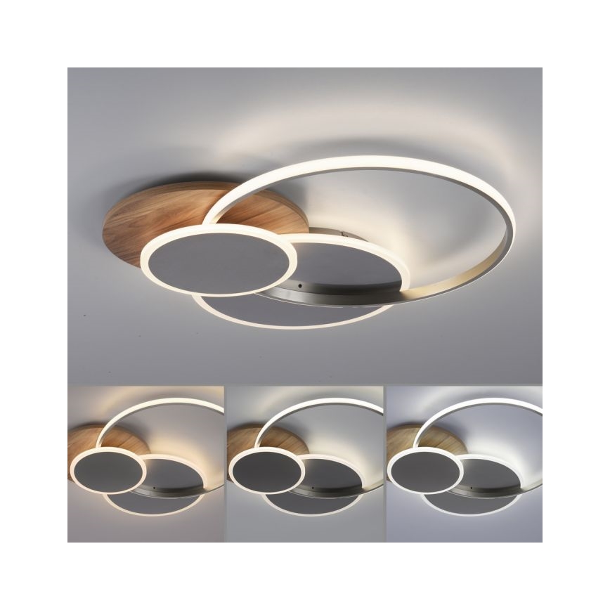 Paul Neuhaus 8328-79 - LED Aptumšojama griestu lampa PALMA LED/50W/230V 2700-5000K priede + tālvadības pults