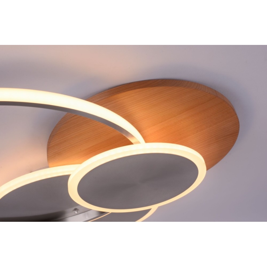 Paul Neuhaus 8328-79 - LED Aptumšojama griestu lampa PALMA LED/50W/230V 2700-5000K priede + tālvadības pults
