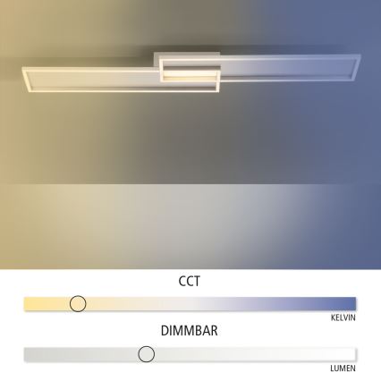 Paul Neuhaus 8371-55 - LED Aptumšojams griestu gaismeklis AMARA LED/40W/230V + TP