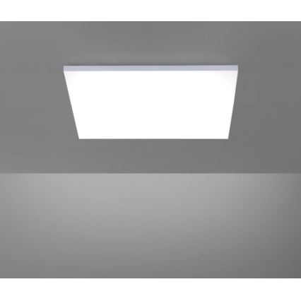 Paul Neuhaus 8492-16 - LED Aptumšojams virsapmetuma panelis FRAMELESS LED/35W/230V + tālvadības pults