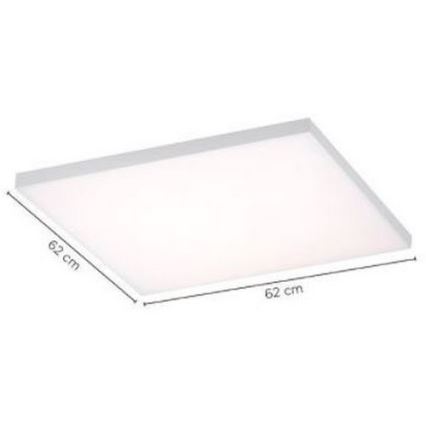 Paul Neuhaus 8492-16 - LED Aptumšojams virsapmetuma panelis FRAMELESS LED/35W/230V + tālvadības pults