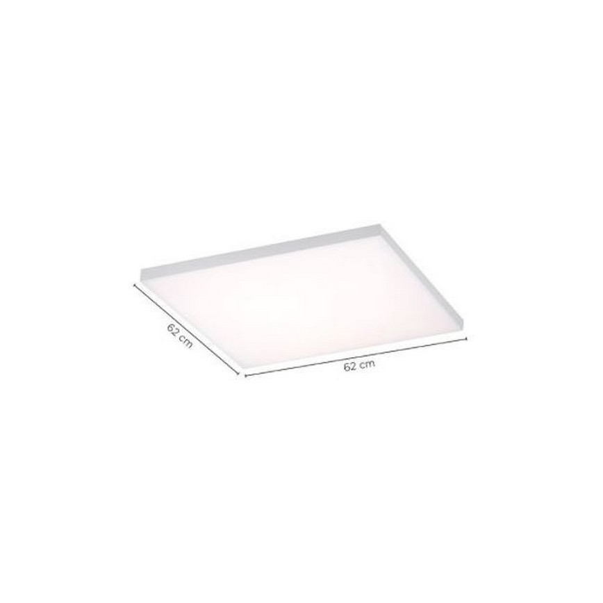 Paul Neuhaus 8492-16 - LED Aptumšojams virsapmetuma panelis FRAMELESS LED/35W/230V + tālvadības pults