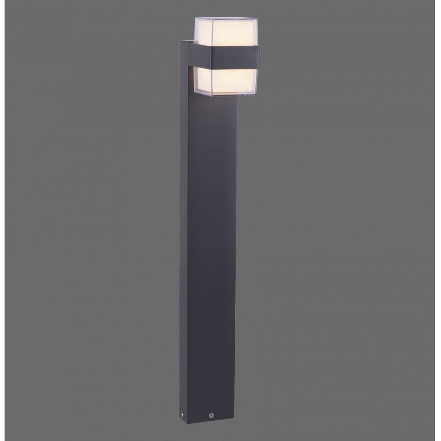 Paul Neuhaus 9481-13 - LED Āra lampa CARA LED/8W/230V IP44