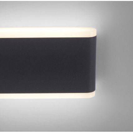Paul Neuhaus 9483-13 - LED Āra sienas lampa ELSA 2xLED/5,4W/230V IP65