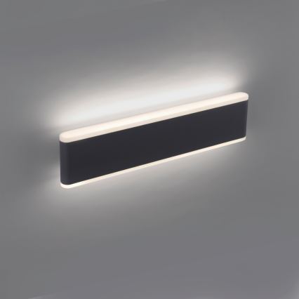 Paul Neuhaus 9484-13 - LED Aptumšojams āra sienas gaismeklis ELSA 2xLED/9W/230V IP65