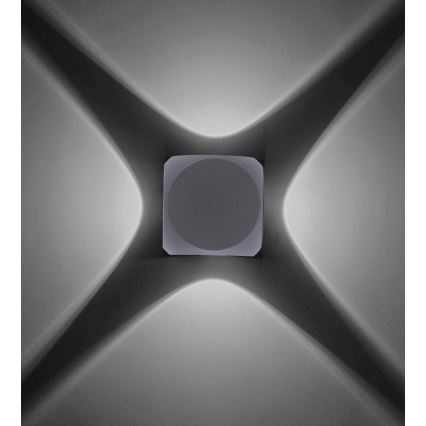 Paul Neuhaus 9485-21 - LED Āra sienas gaismeklis CARLO 4xLED/0,8W/230V IP54