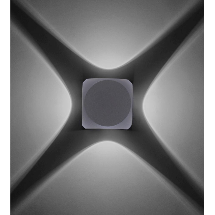 Paul Neuhaus 9485-21 - LED Āra sienas gaismeklis CARLO 4xLED/0,8W/230V IP54