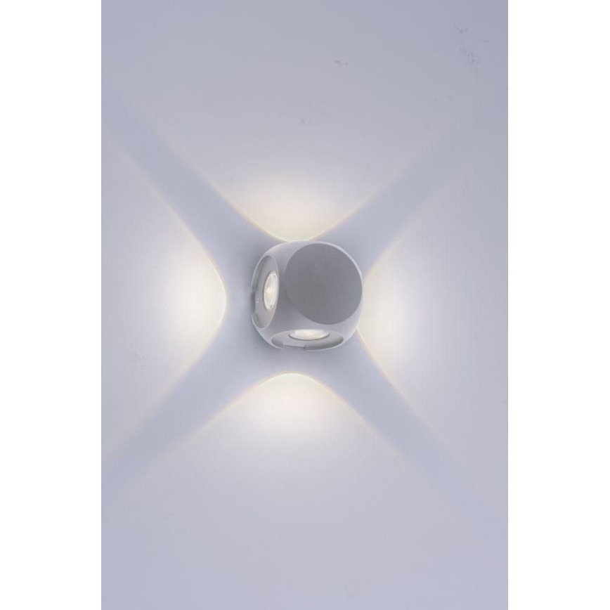 Paul Neuhaus 9485-21 - LED Āra sienas gaismeklis CARLO 4xLED/0,8W/230V IP54