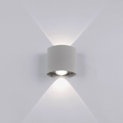 Paul Neuhaus 9486-21 - LED Āra sienas gaismeklis CARLO 2xLED/1,7W/230V IP54