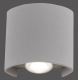 Paul Neuhaus 9486-21 - LED Āra sienas gaismeklis CARLO 2xLED/1,7W/230V IP54