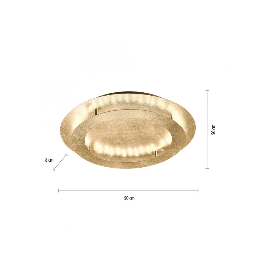 Paul Neuhaus 9621-12 - Griestu gaismeklis NEVIS LED/24W/230V