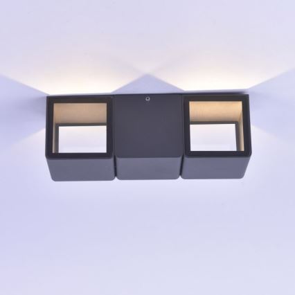 Paul Neuhaus 9658-13 - LED Āra sienas gaismeklis MARCEL 2xLED/4W/230V IP54