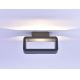 Paul Neuhaus 9668-13 - LED Āra sienas gaismeklis HENDRIK LED/5,2W/230V IP54