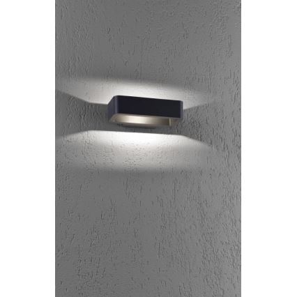 Paul Neuhaus 9668-13 - LED Āra sienas gaismeklis HENDRIK LED/5,2W/230V IP54