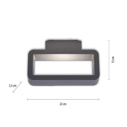 Paul Neuhaus 9668-13 - LED Āra sienas gaismeklis HENDRIK LED/5,2W/230V IP54