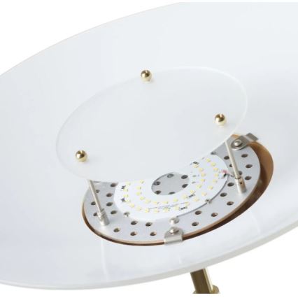 Paul Neuhaus - 655-60 - LED Aptumšojama stāvlampa ALFRED 1xLED/28W/230V+1xLED/4W/230V misiņa