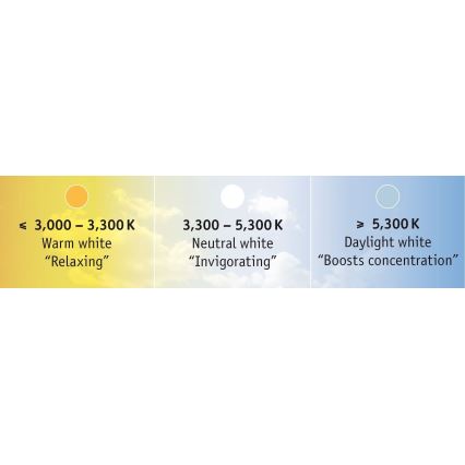 Paulmann 70624 - LED/20W Regulējama gaismas lente MAXLED 3m 230V ar tālvadības pulti