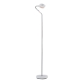 Paulmann 70920 - LED/7,5W Dimmējama stāvlampa RAMOS 230V balta/spīdīgs hroms