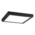 Paulmann 70984 - LED/22W Griestu gaismeklis ABIA 230V