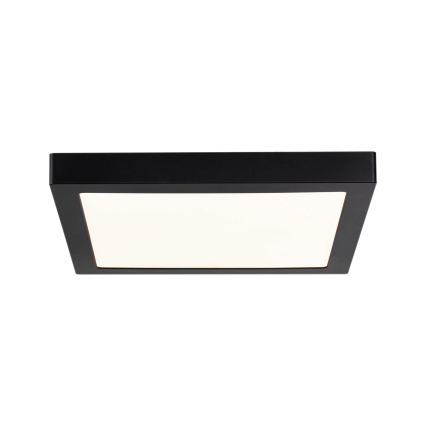 Paulmann 70984 - LED/22W Griestu gaismeklis ABIA 230V