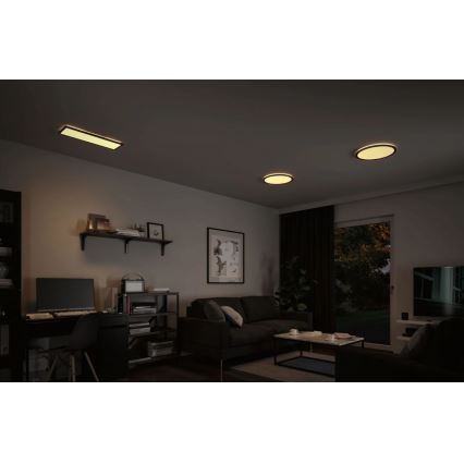 Paulmann 70999 - LED/22W Aptumšojams panelis ATRIA 230V 3000K d. 42 cm melna
