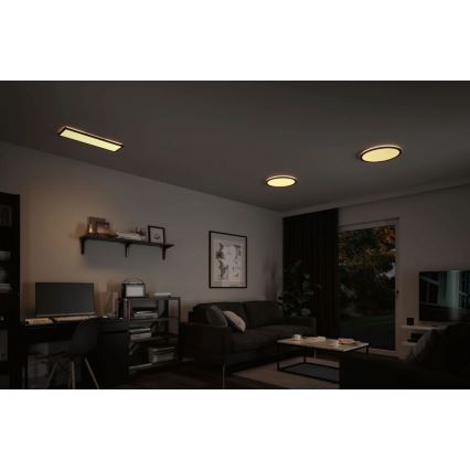 Paulmann 71003 - LED/22W Aptumšojams panelis ATRIA 230V 3000K 20x58 cm melna