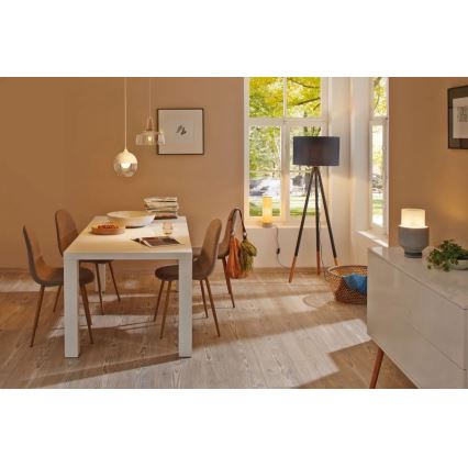 Paulmann 79633 - 1xE27/20W Grīdas stāvlampa RURIK 230V