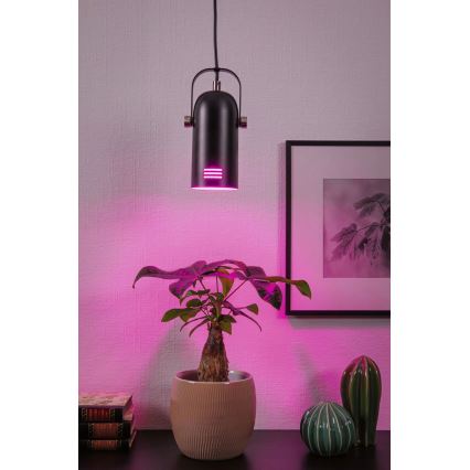 Paulmann 79766 - LED RGBW 1xE27/9W pakaramā lustra uz troses LAVEA 230V melna