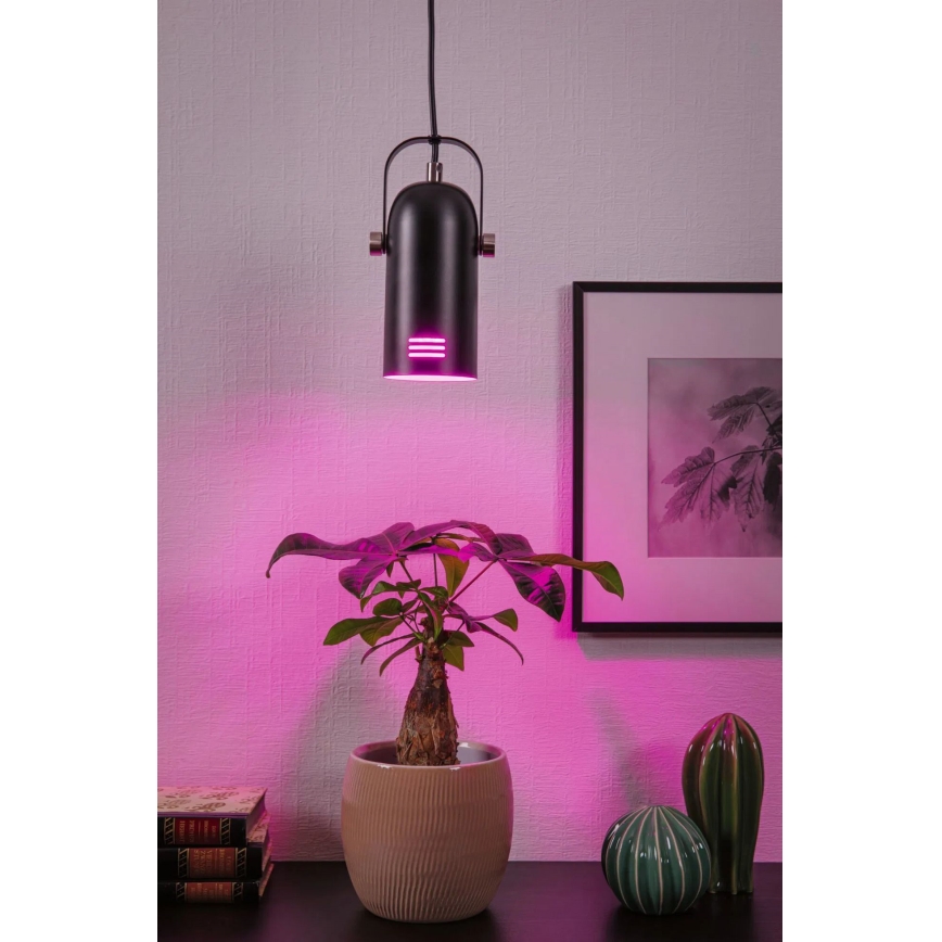 Paulmann 79766 - LED RGBW 1xE27/9W pakaramā lustra uz troses LAVEA 230V melna