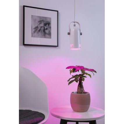 Paulmann 79767 - LED RGBW 1xE27/12W pakaramais gaismeklis LAVEA 230V balts