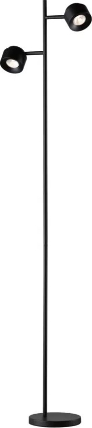 Paulmann 79775 - 2xLED/3W Aptumšojama grīdas stāvlampa PURIK PANE 230V