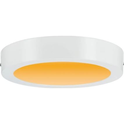 Paulmann 79795 - LED/13W Griestu lampa CARPO 230V 2300/2500/3000K