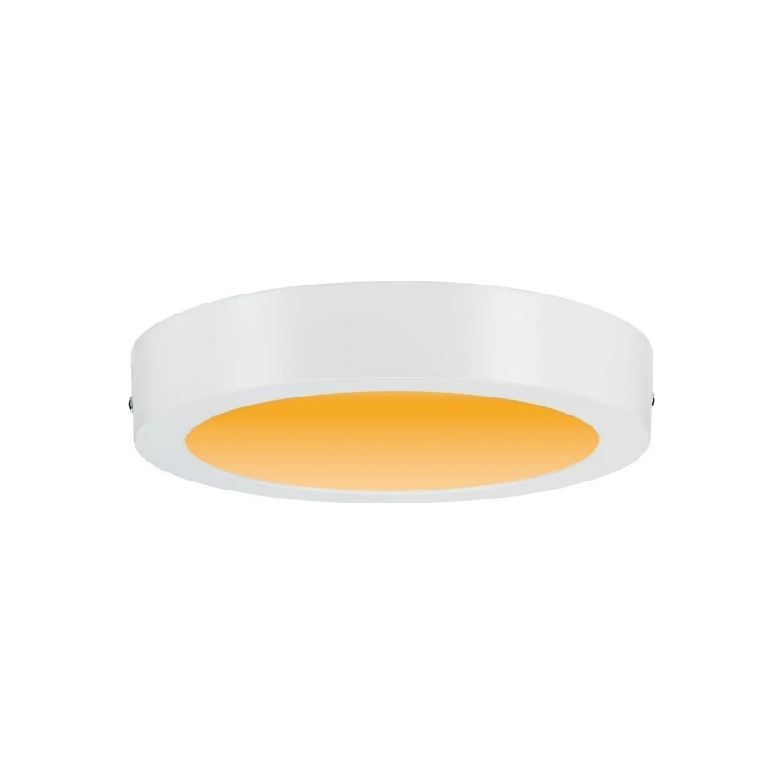 Paulmann 79795 - LED/13W Griestu lampa CARPO 230V 2300/2500/3000K