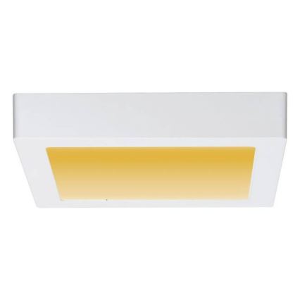 Paulmann 79796 - LED/13W Griestu gaismeklis CARPO 230V 2300-3000K