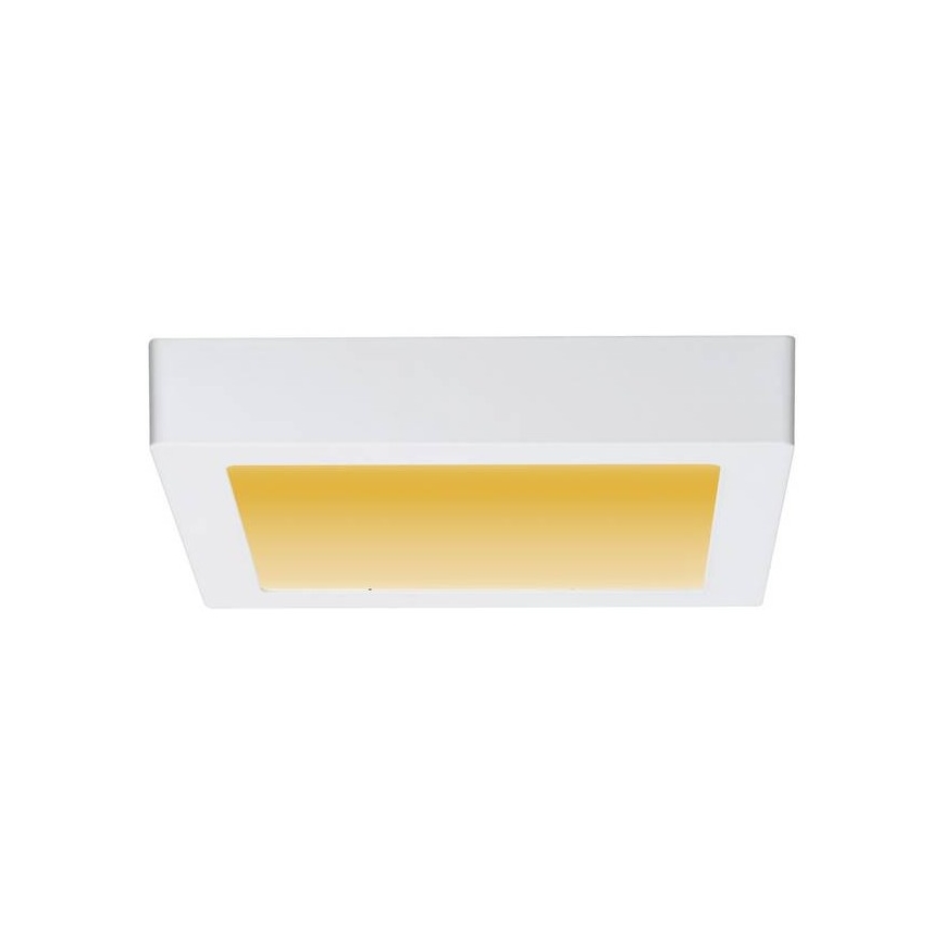 Paulmann 79796 - LED/13W Griestu gaismeklis CARPO 230V 2300-3000K