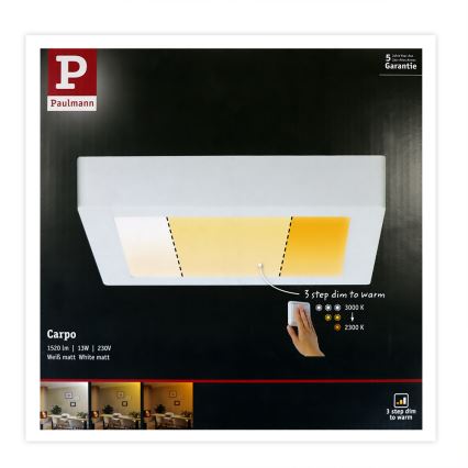 Paulmann 79796 - LED/13W Griestu gaismeklis CARPO 230V 2300-3000K