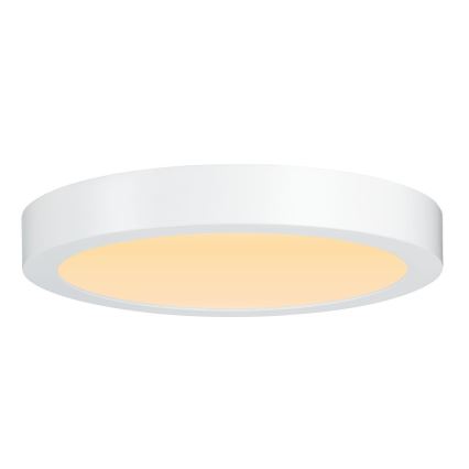 Paulmann 79799 - LED/19W Griestu lampa CARPO 230V 2300/2500/3000K
