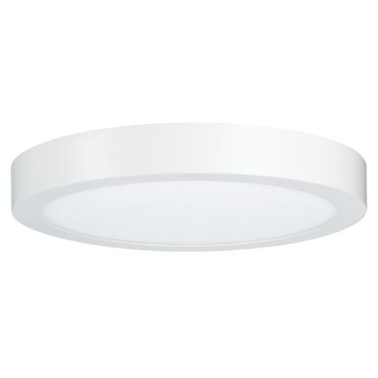Paulmann 79799 - LED/19W Griestu lampa CARPO 230V 2300/2500/3000K