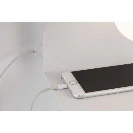 Paulmann 79812 - 1xE27/40W sienas gaismeklis ar plauktiņu un USB CALVANI 230V balts