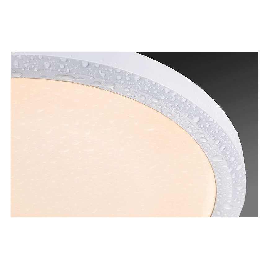 Paulmann 92801 - LED/9W IP65 Vannas istabas iegremdējama lampa WARM DIM 230V 2000K/3000K/4000K