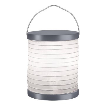 Paulmann 94226 - LED/0,2W IP44 Dekoratīva āra lampa MOBILE 3,7V