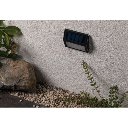 Paulmann 94234 - LED/0,05W IP44 Āra saules enerģijas lampa ar sensoru DAYTON 1,2V 400 mAh