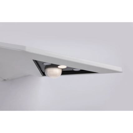 Paulmann 94244 - LED/1,2W IP44 Saules sienas gaismeklis ar sensoru YOKO 3,7V 1800 mAh balts