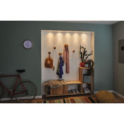 Paulmann 94304 - LED/4W IP44 Vannas istabas iegremdējama lampa COIN 230V