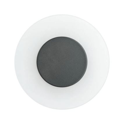 Paulmann 94409 - LED/4W IP44 Āra sienas lampa CIRCEA 230V